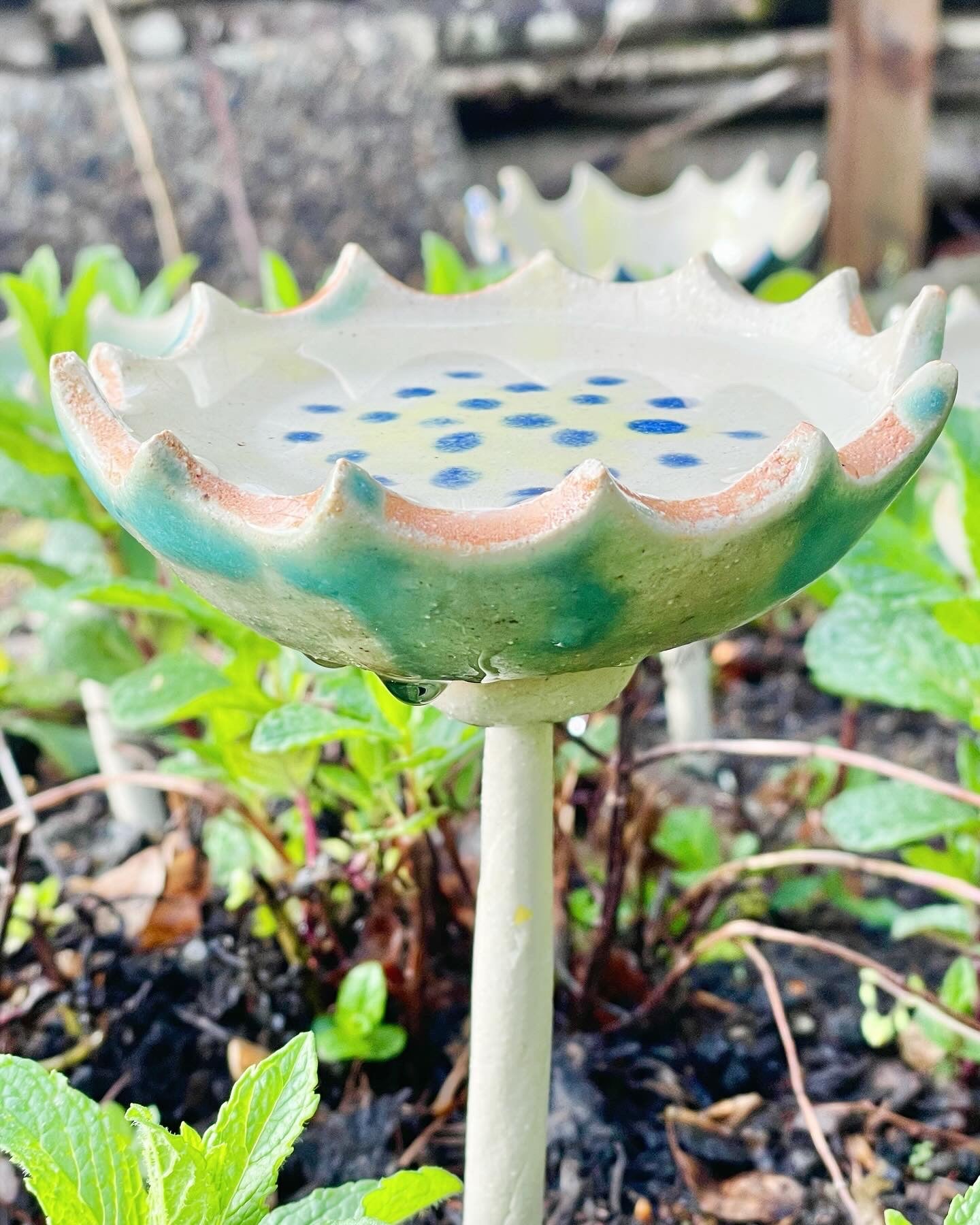 Vogel- und Insektentränke